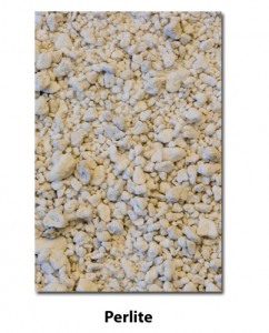 Perlite close-up