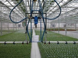 Injecting Fertilizer