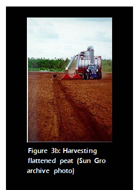 Figure 3b: Harvesting flattened peat