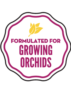 Orchid