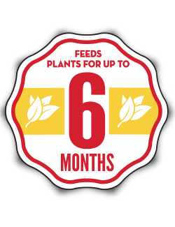 Feeds Up to 6 Months